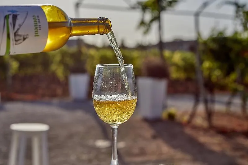 **** فندق Sa Vinya Des Convent Agroturismo إنكا إسبانيا