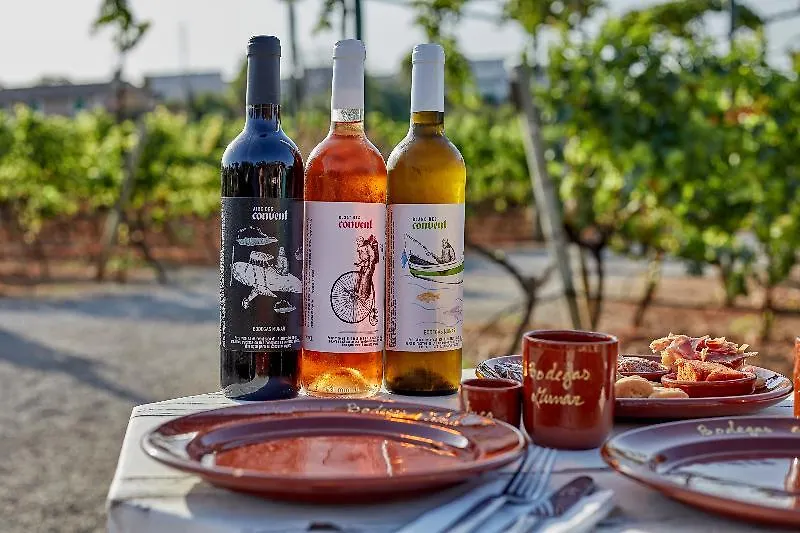 Sa Vinya Des Convent Agroturismo إنكا
