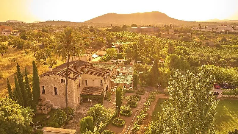 Sa Vinya Des Convent Agroturismo إنكا 4*,  إسبانيا