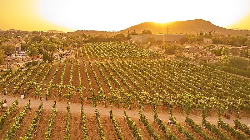 Sa Vinya Des Convent Agroturismo Inca  Hotel Inca (Mallorca)