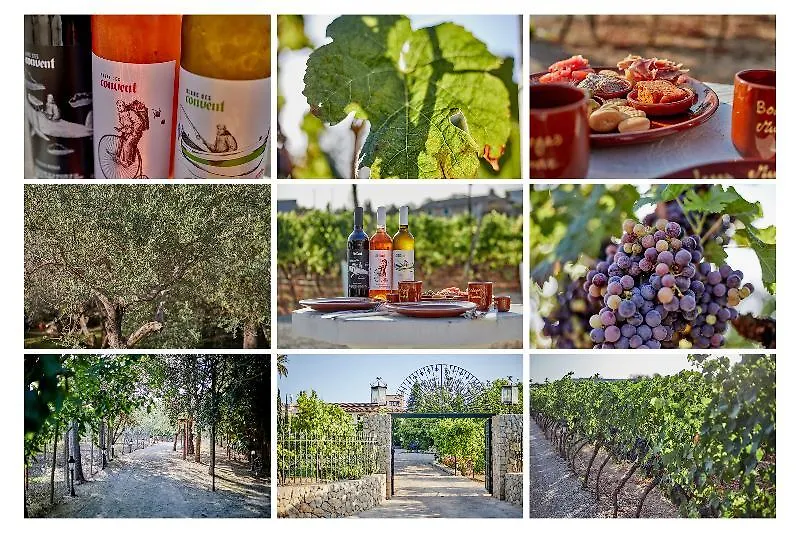 Sa Vinya Des Convent Agroturismo Inca  Hotel Inca (Mallorca)