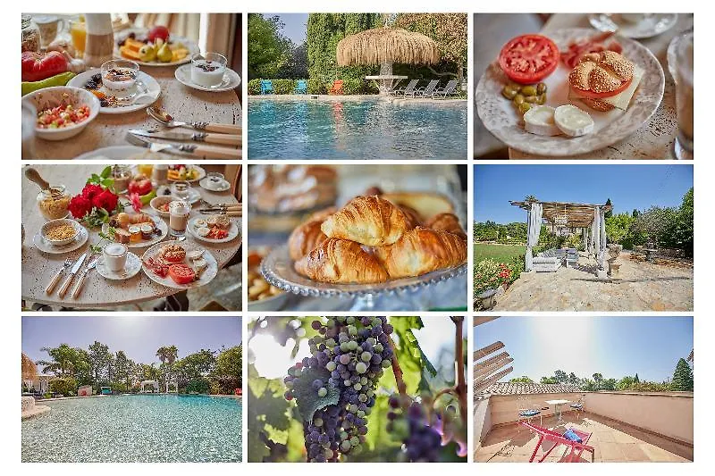 Sa Vinya Des Convent Agroturismo إنكا إسبانيا