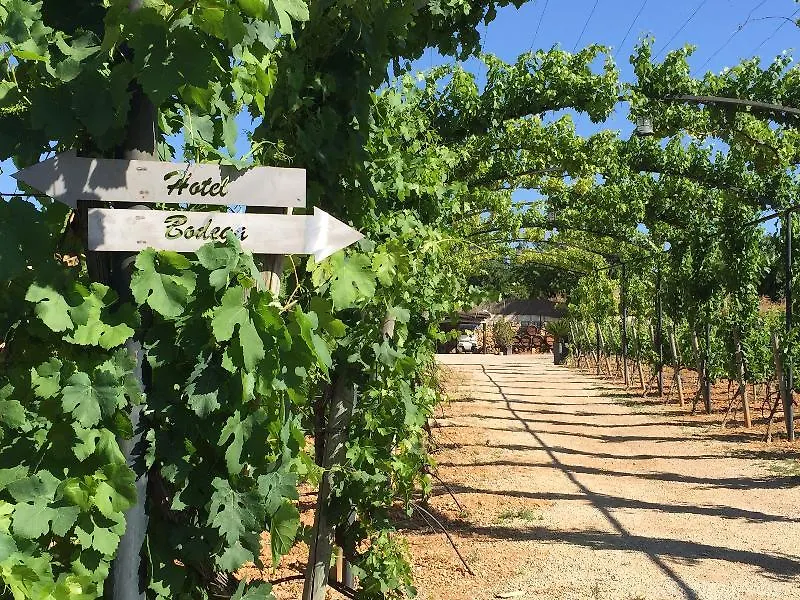 Sa Vinya Des Convent Agroturismo インカ